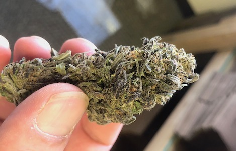 How to Use CBD Hemp Flowers: A Comprehensive Guide How to Use CBD Hemp Flowers: A Comprehensive Guide
